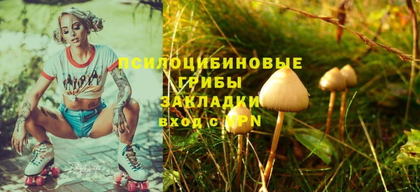 стаф Армянск