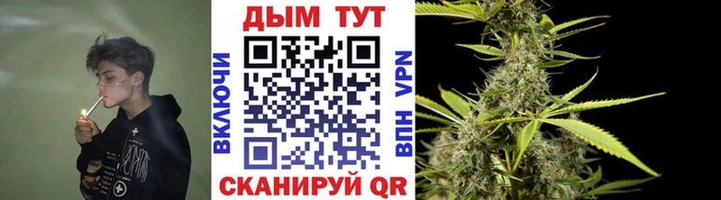 дарк нет официальный сайт  где найти наркотики  Белозерск  Каннабис SATIVA & INDICA 